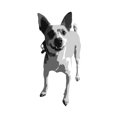 Ivan Vector BW